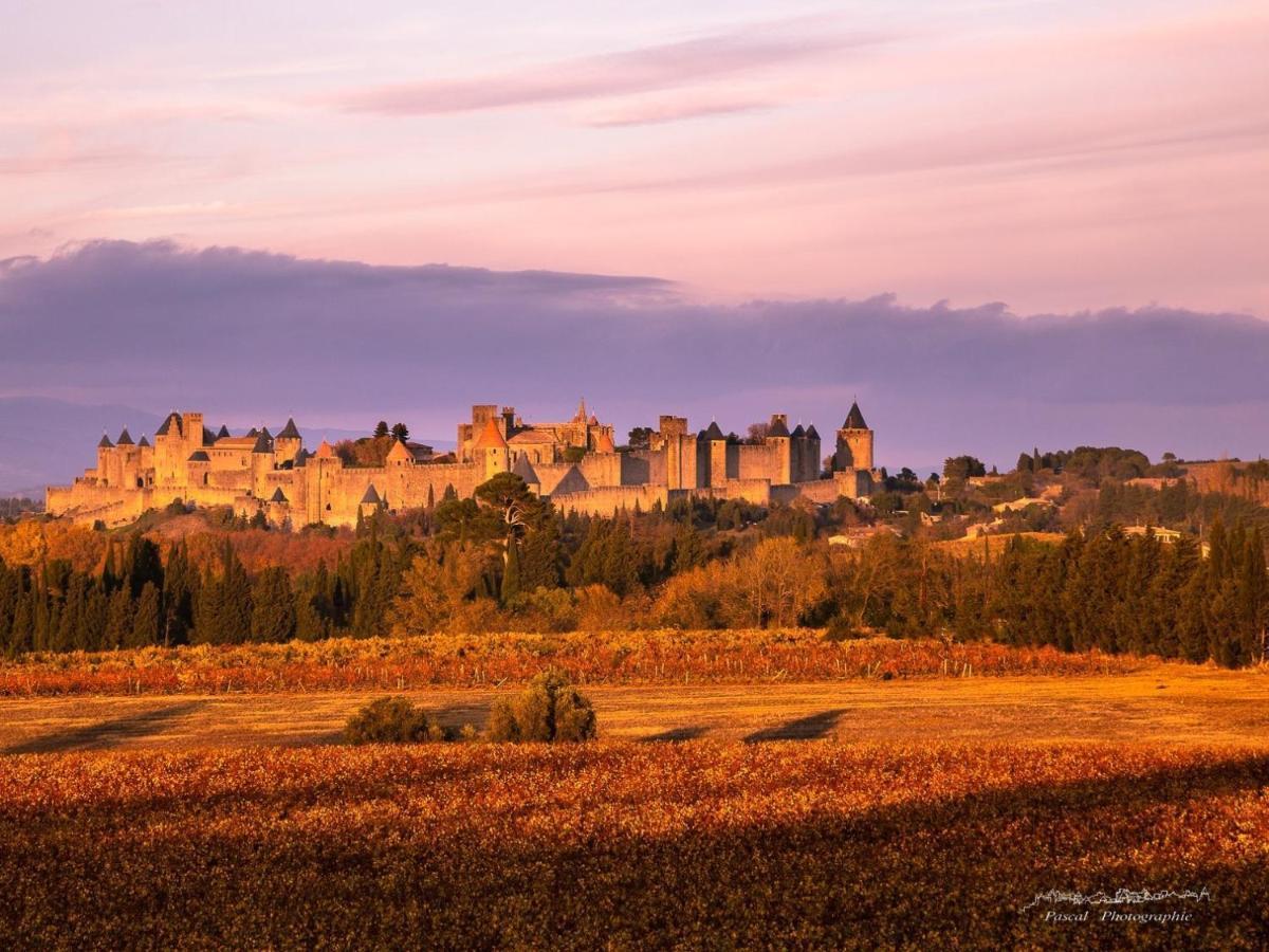 B&b-les Balcons De Maragon Carcassonne