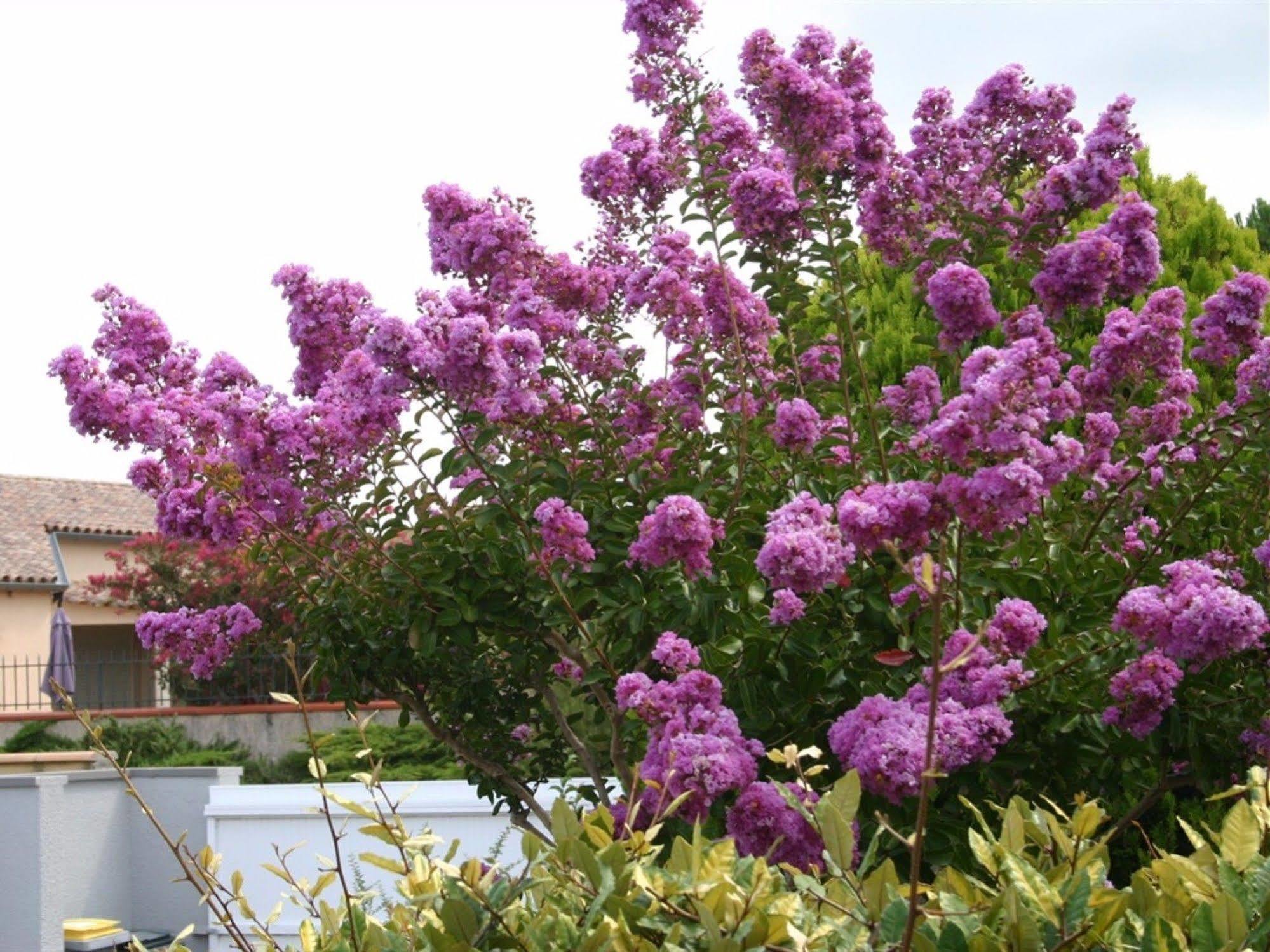 B&b-les Balcons De Maragon Bed & Breakfast 4*